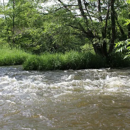 Bernadette Chouvigny