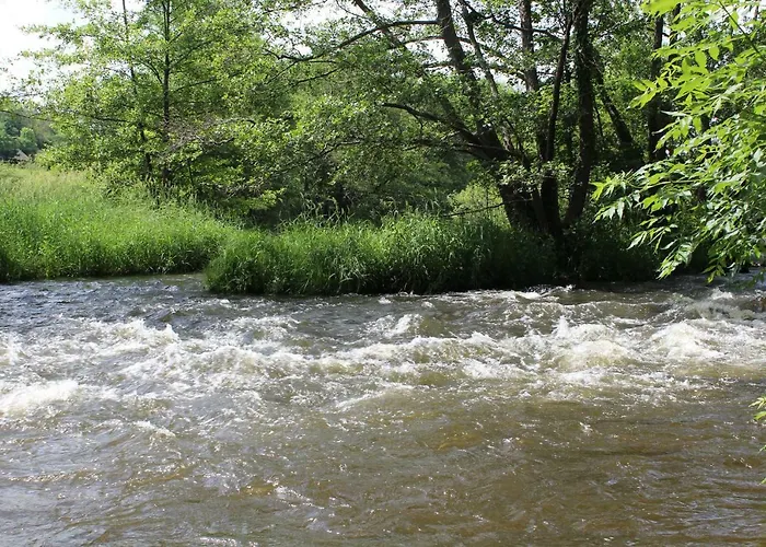 Bernadette Chouvigny